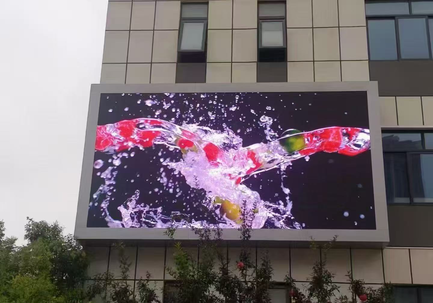 微信图片_20260407100728_291_96.jpg