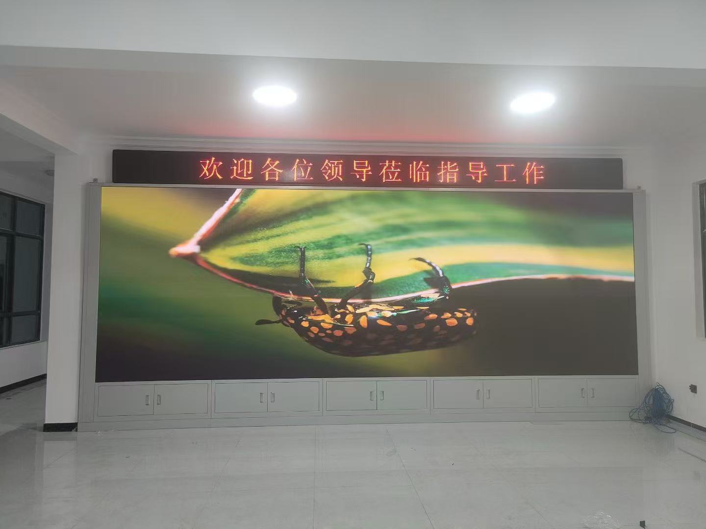 微信图片_20260521172358_390_96.jpg